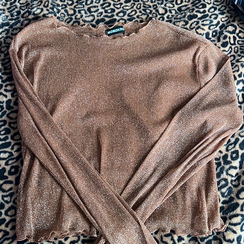 Sparkly Mesh long Sleeve Top!